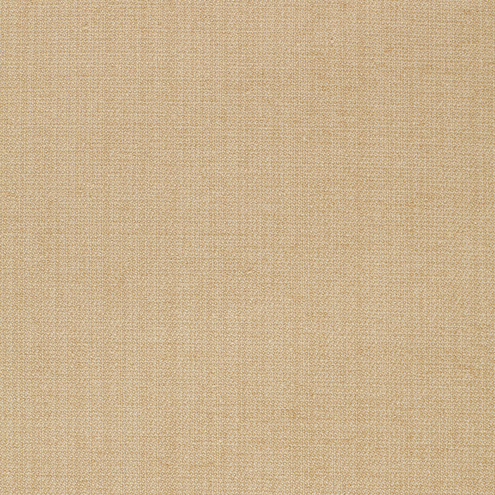 Waldon Chenille Sand 25741 by Schumacher Designer Fabric OPULENT TEXTURES See Sample UNITED STATES OF AMERICA TO BE DETERMINED </p><p>Repeat: Horizontal: - and Vertical: - 54" WIDE (137CM) - Swanky Fabrics -