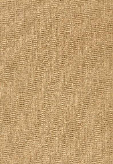 Waldon Chenille Buckskin 25742 by Schumacher Fabric Chroma 68% Rayon, 24% Polyester, 8% Cotton Wyzenbeek 30,000 Horizontal: - and Vertical: - 54 - Fabric Carolina -