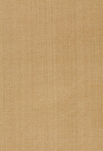 Waldon Chenille Buckskin 25742 by Schumacher Fabric