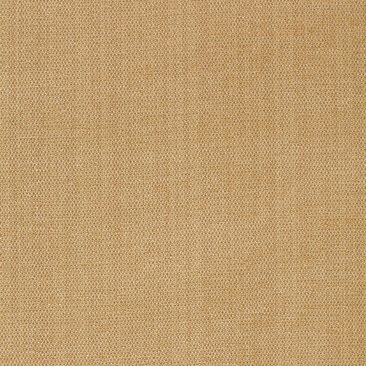 Waldon Chenille Buckskin 25742 by Schumacher Fabric CHROMA RAYON 68% POLYESTER 24% UNITED STATES OF AMERICA WYZENBEEK 30,000 </p><p>Repeat: Horizontal: and Vertical: 54 - Fabric Carolina -