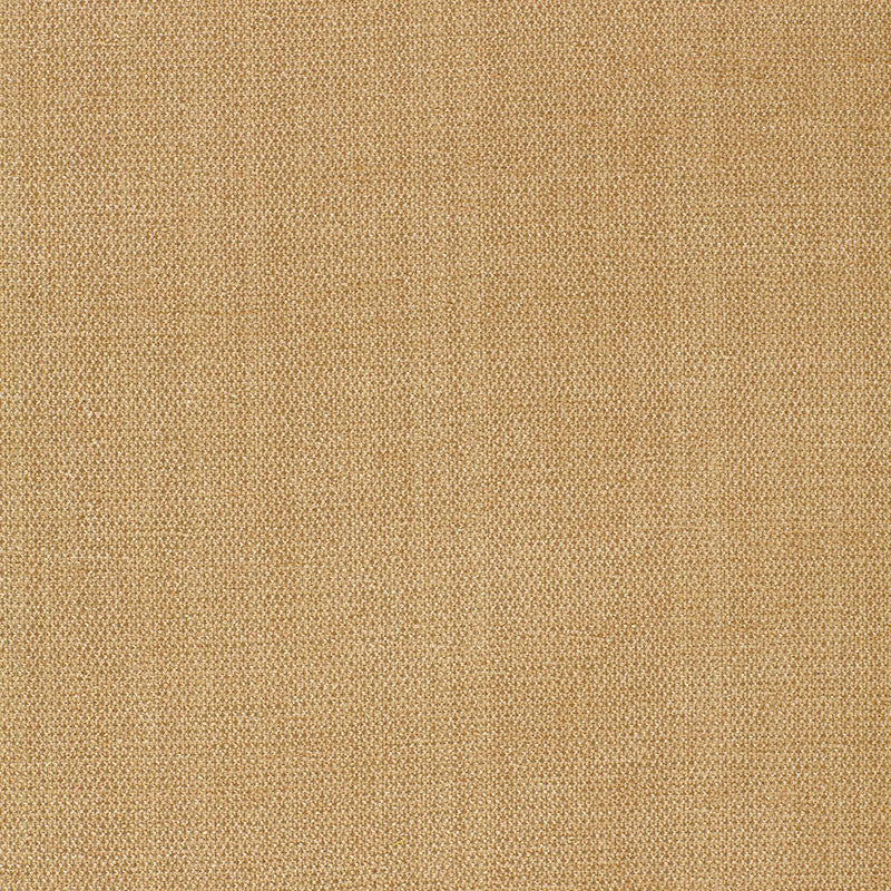 Waldon Chenille Buckskin 25742 by Schumacher Fabric CHROMA See Sample UNITED STATES OF AMERICA TO BE DETERMINED </p><p>Repeat: Horizontal: - and Vertical: - 54" WIDE (137CM) - Fabric Carolina -