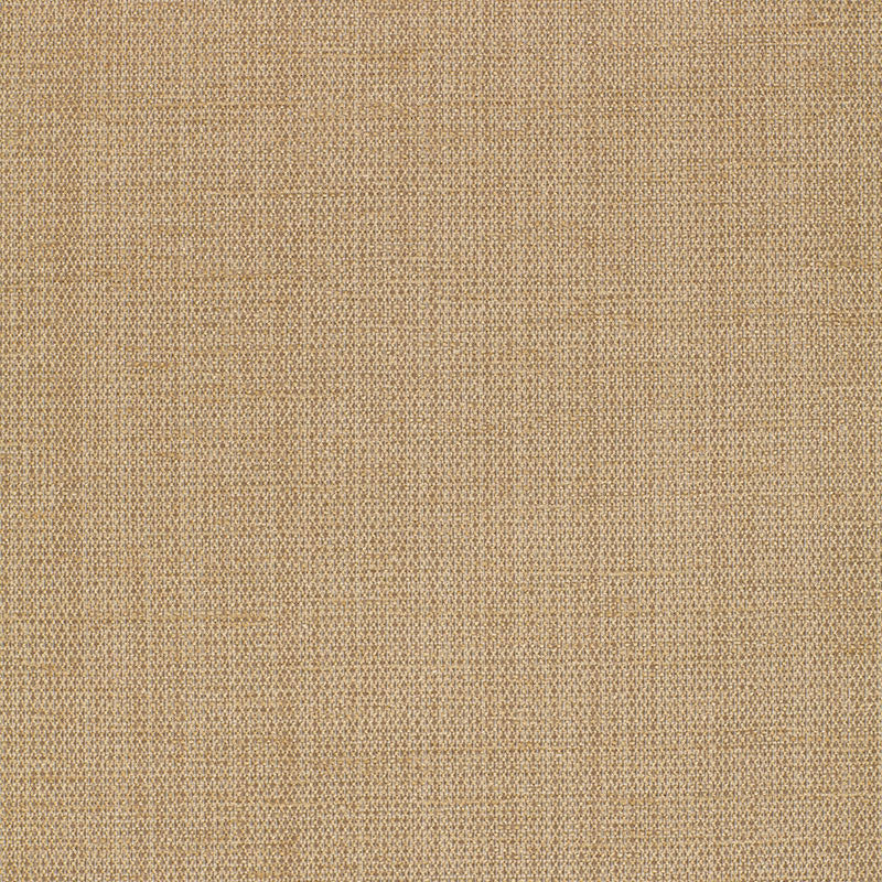 Waldon Chenille Desert 25743 by Schumacher Designer Fabric CHROMA RAYON 68% POLYESTER 24% UNITED STATES OF AMERICA WYZENBEEK 30,000 </p><p>Repeat: Horizontal: and Vertical: 54 - Swanky Fabrics -