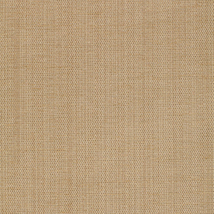 Waldon Chenille Desert 25743 by Schumacher Designer Fabric CHROMA RAYON 68% POLYESTER 24% UNITED STATES OF AMERICA WYZENBEEK 30,000 </p><p>Repeat: Horizontal: and Vertical: 54 - Swanky Fabrics -