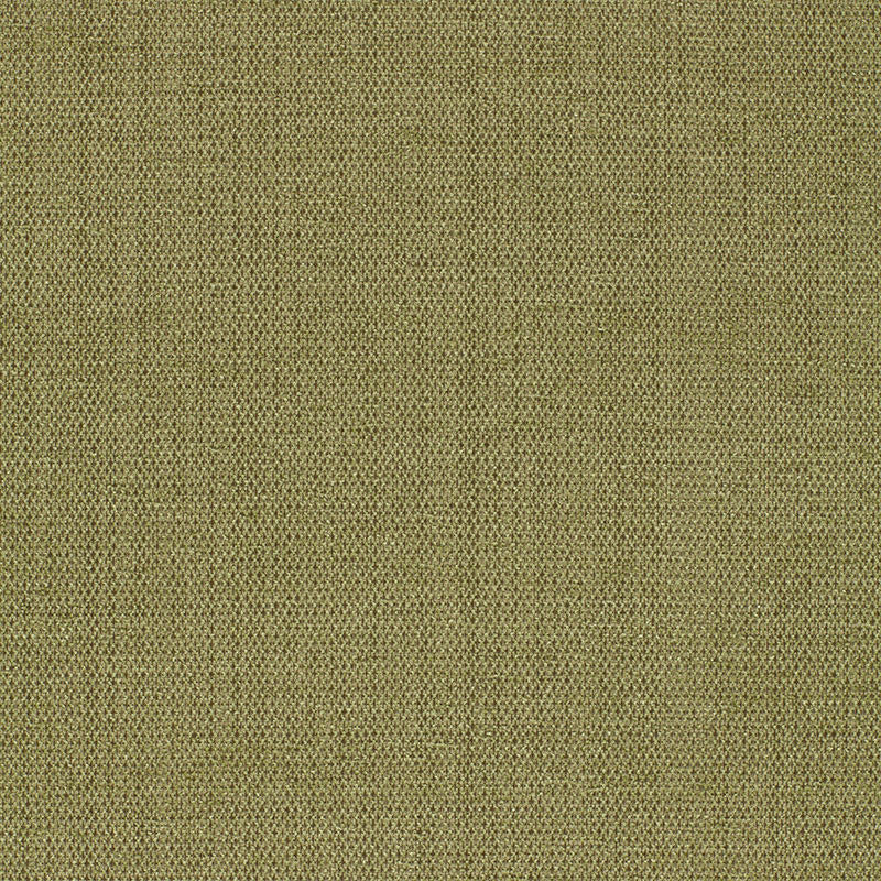 Waldon Chenille Moss 25745 by Schumacher Fabric CHROMA See Sample UNITED STATES OF AMERICA TO BE DETERMINED </p><p>Repeat: Horizontal: - and Vertical: - 54" WIDE (137CM) - Fabric Carolina -