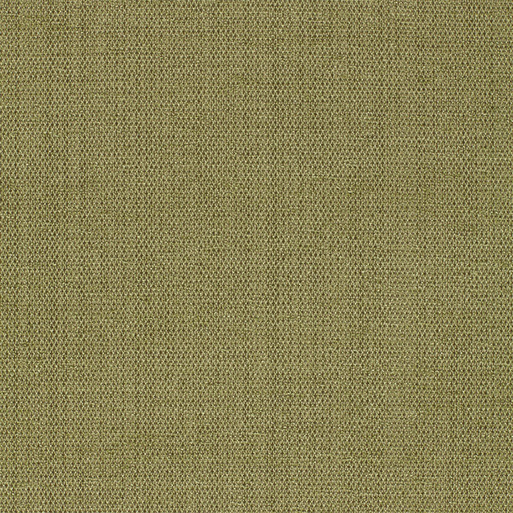 Waldon Chenille Moss 25745 by Schumacher Fabric CHROMA See Sample UNITED STATES OF AMERICA TO BE DETERMINED </p><p>Repeat: Horizontal: - and Vertical: - 54" WIDE (137CM) - Fabric Carolina -