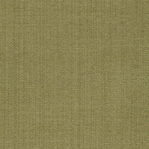 Waldon Chenille Moss 25745 by Schumacher Fabric