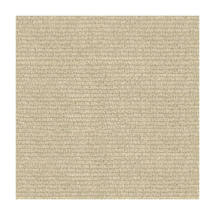 25763-1116 by Kravet Design Fabric SUNBRELLA SOLUTION DYED ACRYLIC - 100% United States HEAVY Horizontal: 0 and Vertical: 0 54 - Fabric Carolina -
