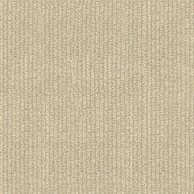Kravet Design 25763-1116 by Kravet Design Fabric