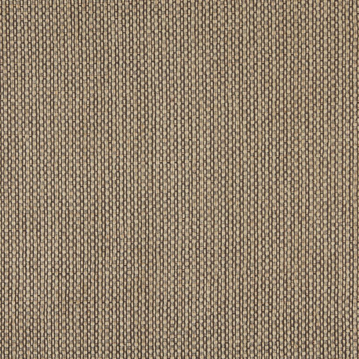 2576 Antique by Charlotte Fabric Chenille Classics IV 65% Polyester, 35% Acrylic Made In USA Exceeds 100,000 Wyzenbeek Rubs (Heavy Duty) No Repeat 54 Inches - Fabric Carolina -