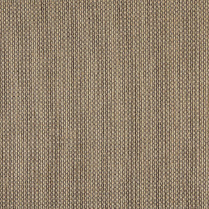2576 Antique by Charlotte Fabric