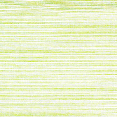 Tropicale Parrot by Kravet Design Fabric