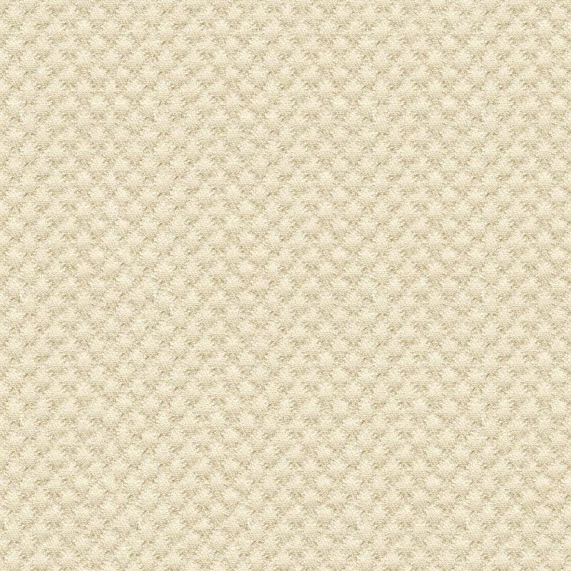 25807.1116 by Kravet Design Designer Fabric Sunbrella Solution Dyed Acrylic 100% USA Heavy Horizontal: see sample and Vertical: see sample 50 inches - Swanky Fabrics -