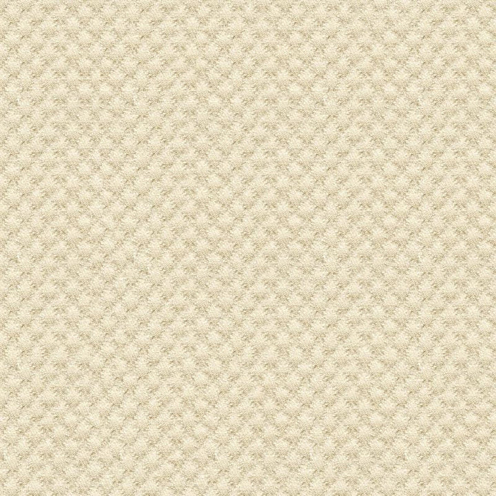 25807.1116 by Kravet Design Designer Fabric in our sample Solution Dyed Acrylic 100% USA Heavy Horizontal: See Sample and Vertical: See Sample 50 inches - Swanky Fabrics -