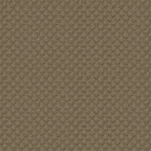 Kravet Design 25807-106 by Kravet Design Fabric
