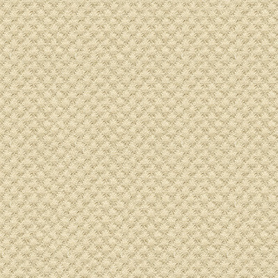 25807-1111 by Kravet Design Fabric