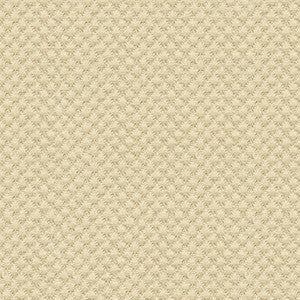 25807-1111 by Kravet Design Fabric