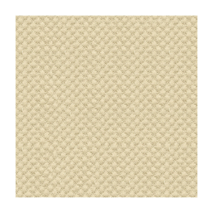 25807-1111 by Kravet Design Fabric SUNBRELLA SOLUTION DYED ACRYLIC - 100% United States HEAVY Horizontal: 0 and Vertical: 0 50 - Fabric Carolina -