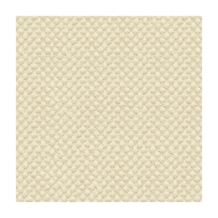 25807-1116 by Kravet Design Fabric SUNBRELLA SOLUTION DYED ACRYLIC - 100% United States HEAVY Horizontal: 0 and Vertical: 0 50 - Fabric Carolina -