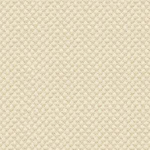 Kravet Design 25807-1116 by Kravet Design Fabric