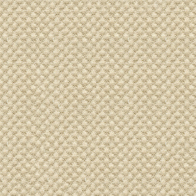 Kravet Design 25807-116 by Kravet Design Fabric