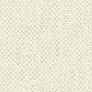 Kravet Design 25807-1 by Kravet Design Fabric