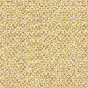 25807-414 by Kravet Design Fabric