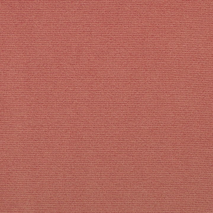 Perf Merit Guava 653 by P Kaufmann Fabrics Fabric