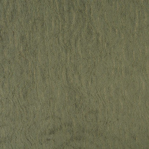 2584 Pine by Charlotte Fabric