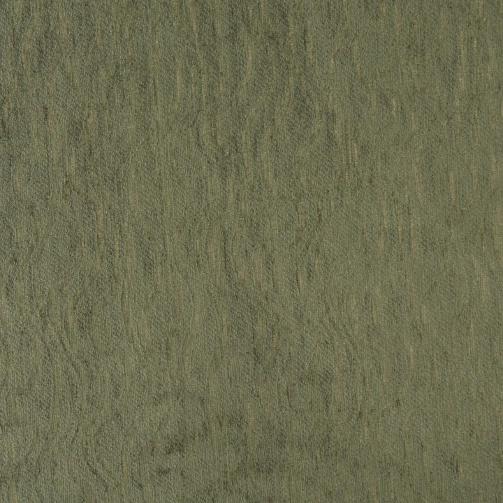 2584 Pine by Charlotte Fabric Chenille Classics IV 58% Acrylic, 31% Polyester, 11% Olefin Made In USA Exceeds 100,000 Wyzenbeek Rubs (Heavy Duty) Horizontal: 12" 54 Inches - Fabric Carolina -