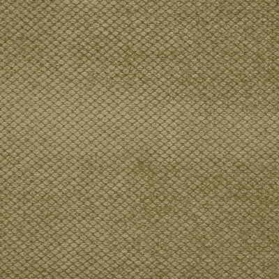 25937-323 by Kravet Basics Fabric