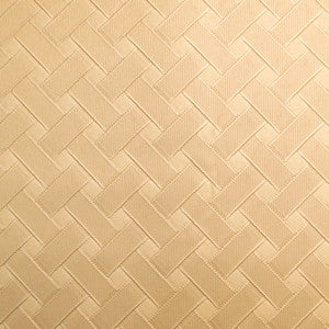 Pioneer 25 by Europatex Fabric