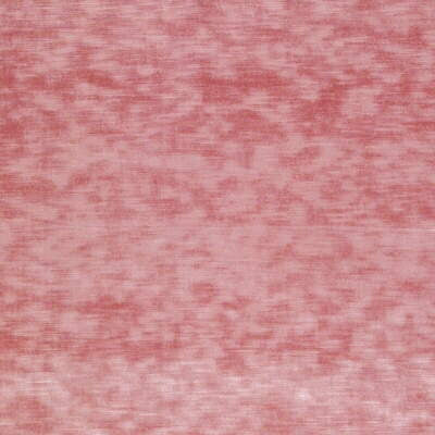 Chic Velour Shell by Kravet Couture Fabric - VISCOSE - 60%;COTTON - 31%;POLYESTER - 9% Italy HEAVY Horizontal: 0 and Vertical: 0 55 - Fabric Carolina -