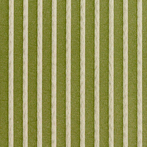 2613 Fern/Stripe by Charlotte Fabric