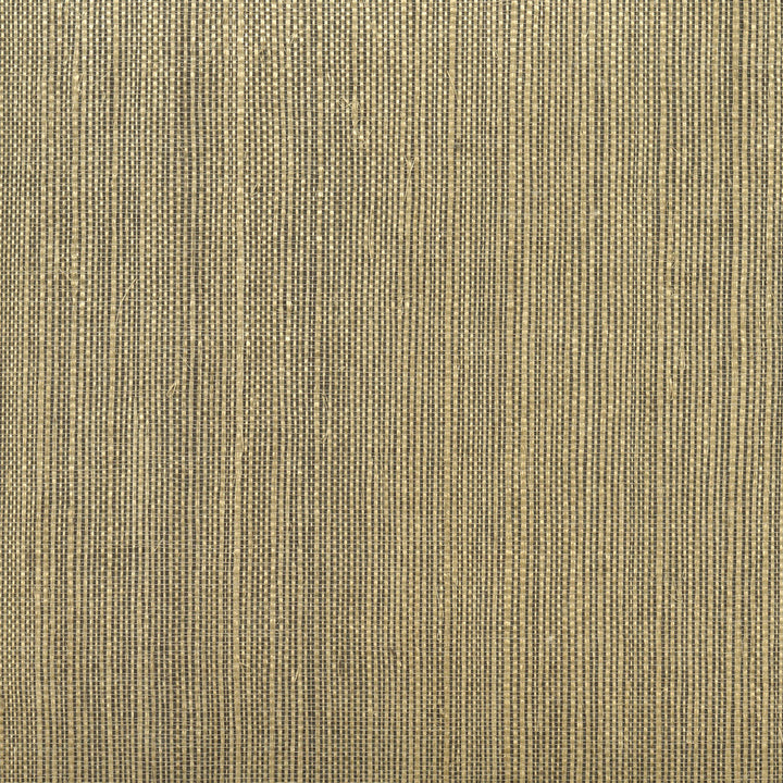 Barbora Chocolate Sisal Grasscloth Wallpaper by Kenneth James Jade Grasscloth Covers about 72 square feet 36-in by 24-ft long roll Unpasted 0 - Fabric Carolina -