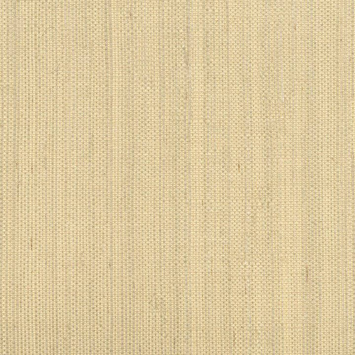 Ruslan Champagne Grasscloth Wallpaper by Kenneth James Jade Grasscloth Covers about 72 square feet 36-in by 24-ft long roll Unpasted 0 - Fabric Carolina -