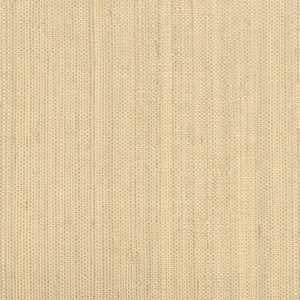 Ruslan Champagne Grasscloth Wallpaper by Kenneth James