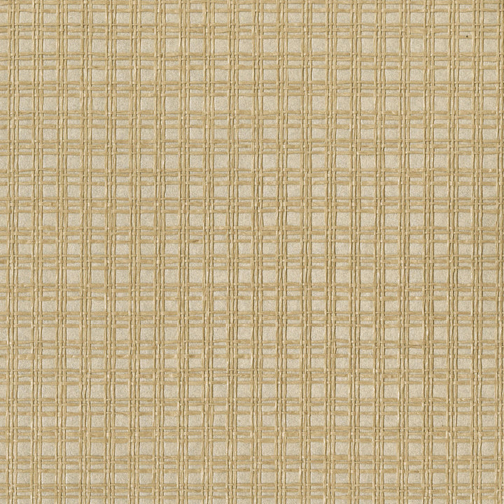Tomek Beige Paper Weave Wallpaper by Kenneth James Jade Grasscloth Covers about 72 square feet 36-in by 24-ft long roll Unpasted 0 - Fabric Carolina -
