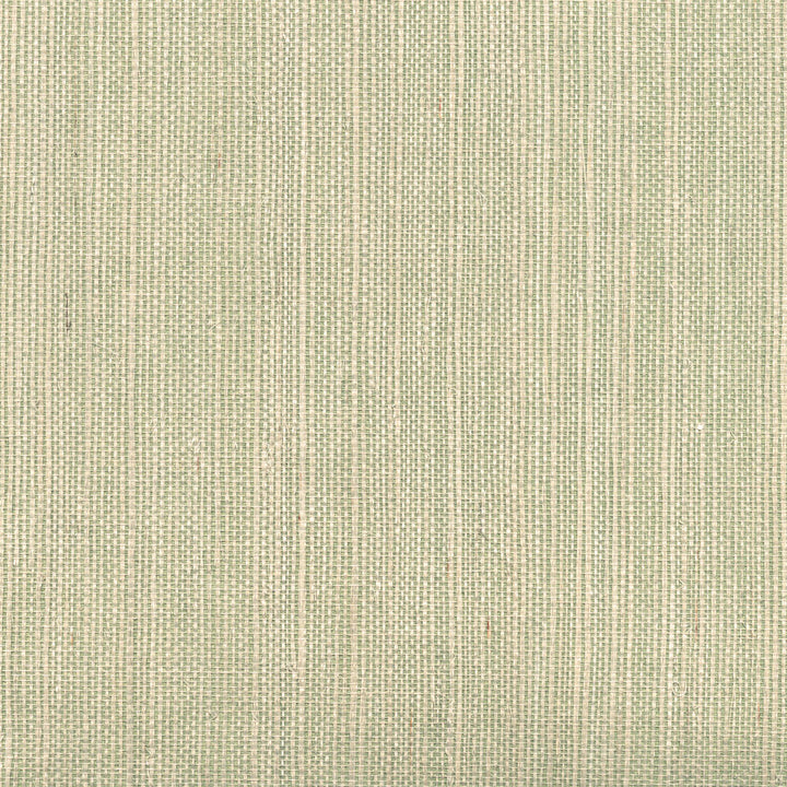 Barbora Light Green Grasscloth Wallpaper by Kenneth James Jade Grasscloth Covers about 72 square feet 36-in by 24-ft long roll Unpasted 0 - Fabric Carolina -