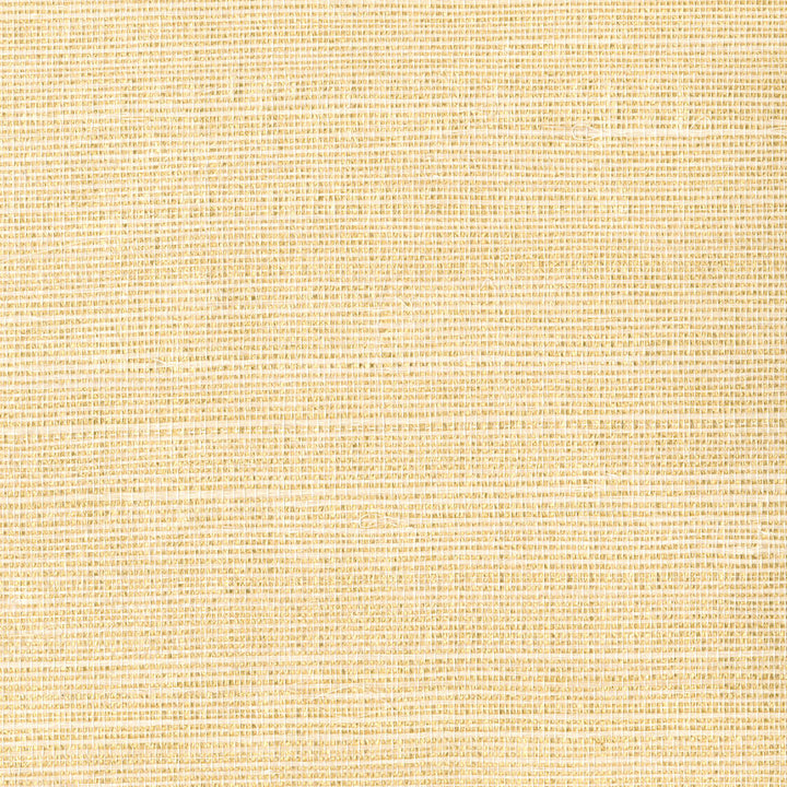 Klaudia Champagne Foil Grasscloth Wallpaper by Kenneth James Jade Grasscloth Covers about 72 square feet 36-in by 24-ft long roll Unpasted 0 - Fabric Carolina -