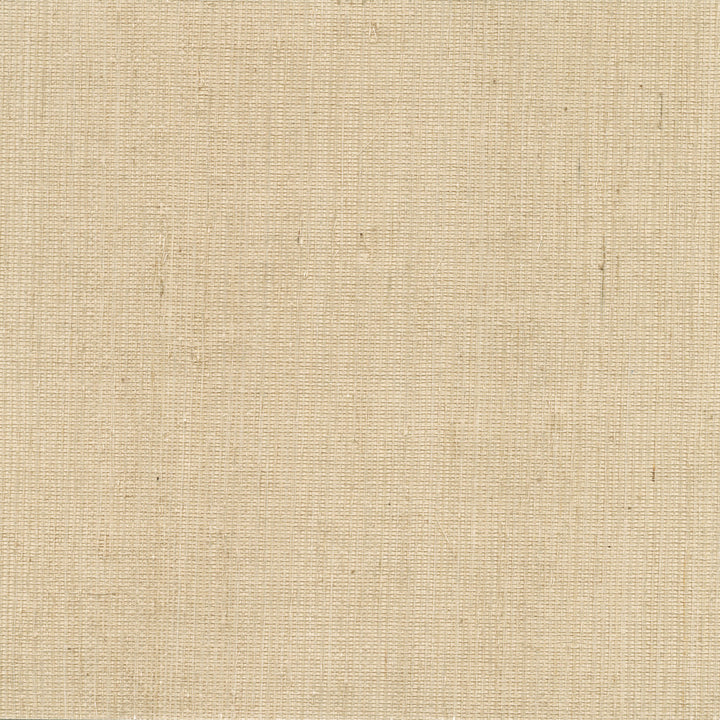 Ruslan Beige Grasscloth Wallpaper by Kenneth James Jade Grasscloth Covers about 72 square feet 36-in by 24-ft long roll Unpasted 0 - Fabric Carolina -