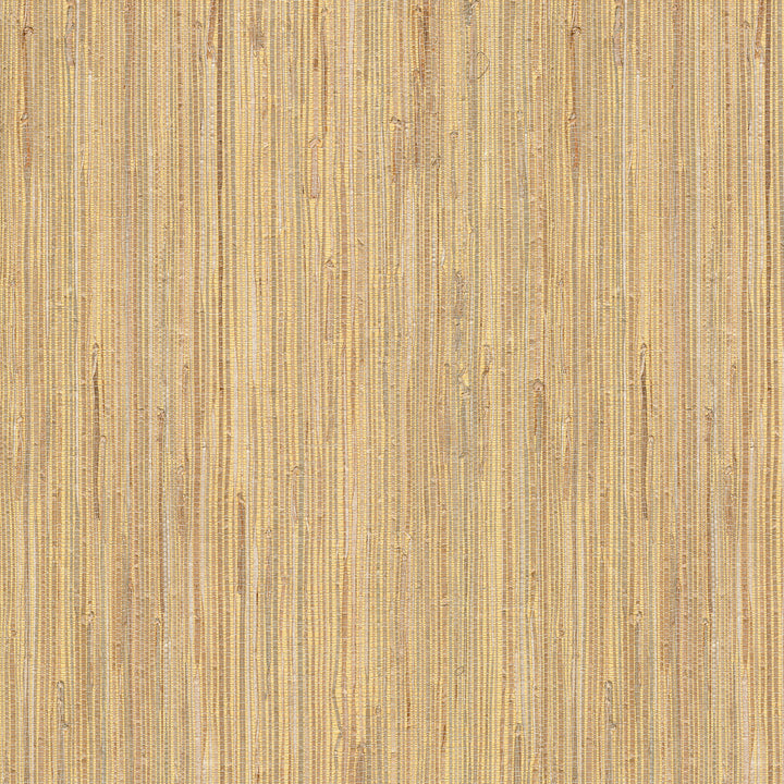 Daria Beige Grasscloth Wallpaper by Kenneth James Jade Grasscloth Covers about 72 square feet 36-in by 24-ft long roll Unpasted 0 - Fabric Carolina -