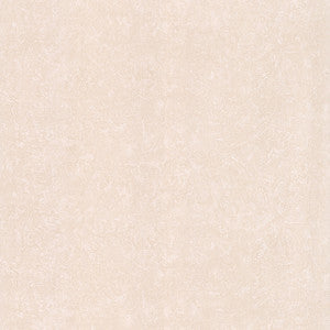 Gesso Neutral Plaster Texture Wallpaper by Brewster