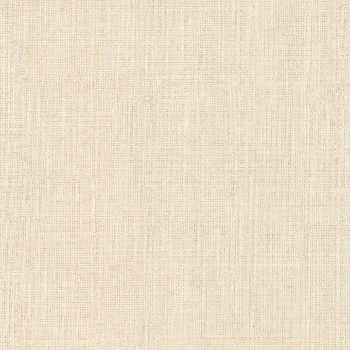 Fintex Neutral Woven Texture Wallpaper by Brewster Background & Stripes Covers about 56.4 square feet 20.5-in by 33-ft long roll Unpasted 0 - Fabric Carolina -