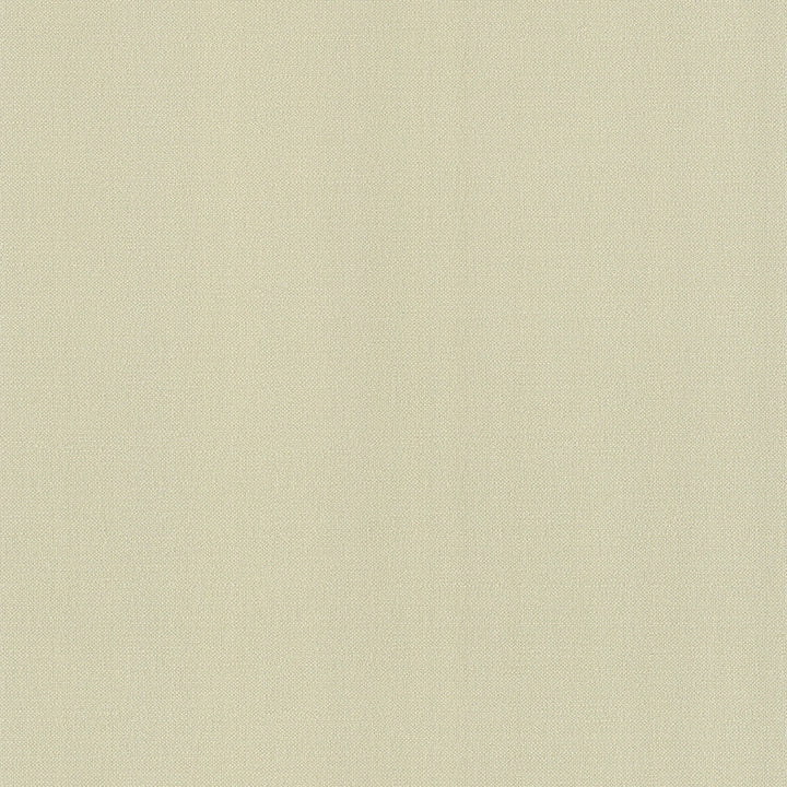 Caldo Moss Textile Weave Wallpaper by Brewster Background & Stripes Covers about 56.4 square feet 20.5-in by 33-ft long roll Unpasted 21 - Fabric Carolina -