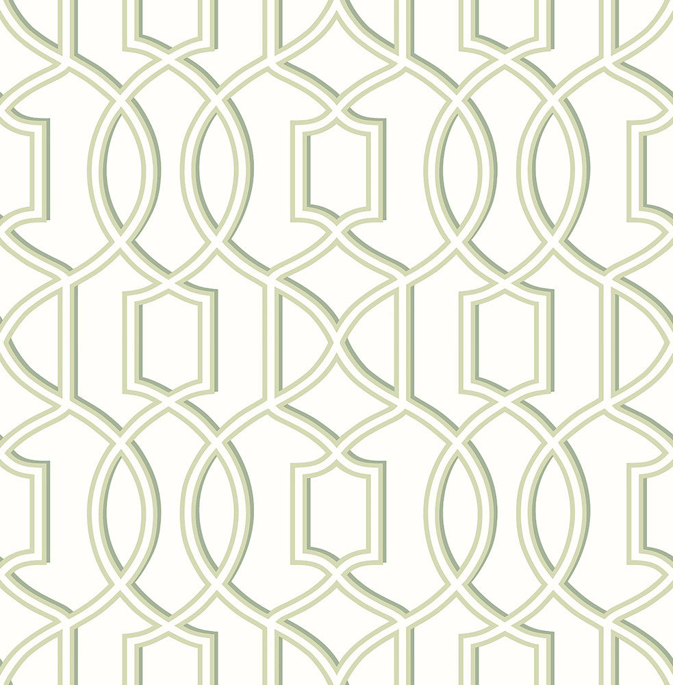 Quantum Green Trellis Wallpaper by A-Street Prints Symetrie Covers about 56.4 square feet 20.5-in by 33-ft long roll Unpasted 10.4 - Fabric Carolina -