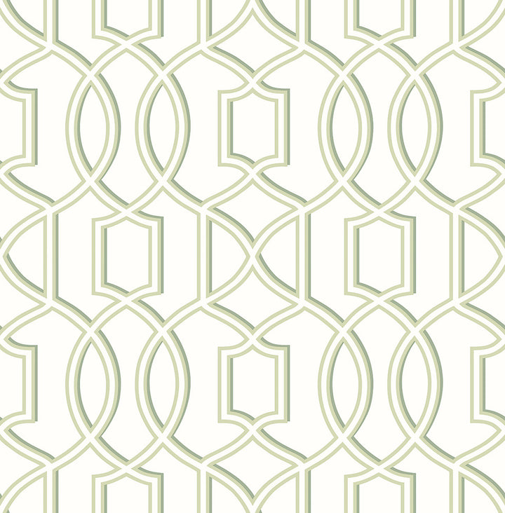 Quantum Green Trellis Wallpaper by A-Street Prints Symetrie Covers about 56.4 square feet 20.5-in by 33-ft long roll Unpasted 10.4 - Fabric Carolina -