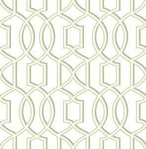 Quantum Green Trellis Wallpaper by A-Street Prints