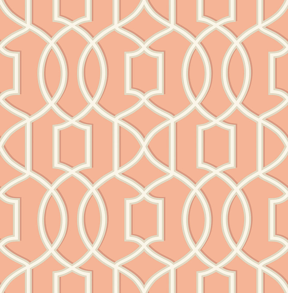 Quantum Coral Trellis Wallpaper by A-Street Prints Symetrie Covers about 56.4 square feet 20.5-in by 33-ft long roll Unpasted 10.4 - Fabric Carolina -