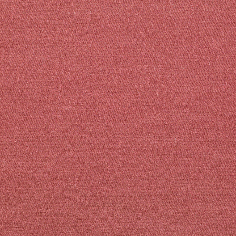 Lumis Guava 653 by P Kaufmann Fabrics Fabric