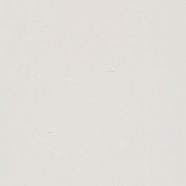 Province Duck White 2634481 by Schumacher Fabric OPULENT TEXTURES COTTON 100% TURKEY WYZENBEEK 15,000 </p><p>Repeat: Horizontal: and Vertical: 55 - Fabric Carolina -
